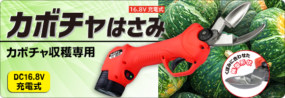 カボチャはさみ